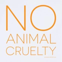 Slogan T-Shirt No Animal Cruelty White -Transcend Sales exvarcv6yrrzyyikdbkf