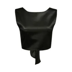 Lacquer Silk Crop Top - Lanh My A